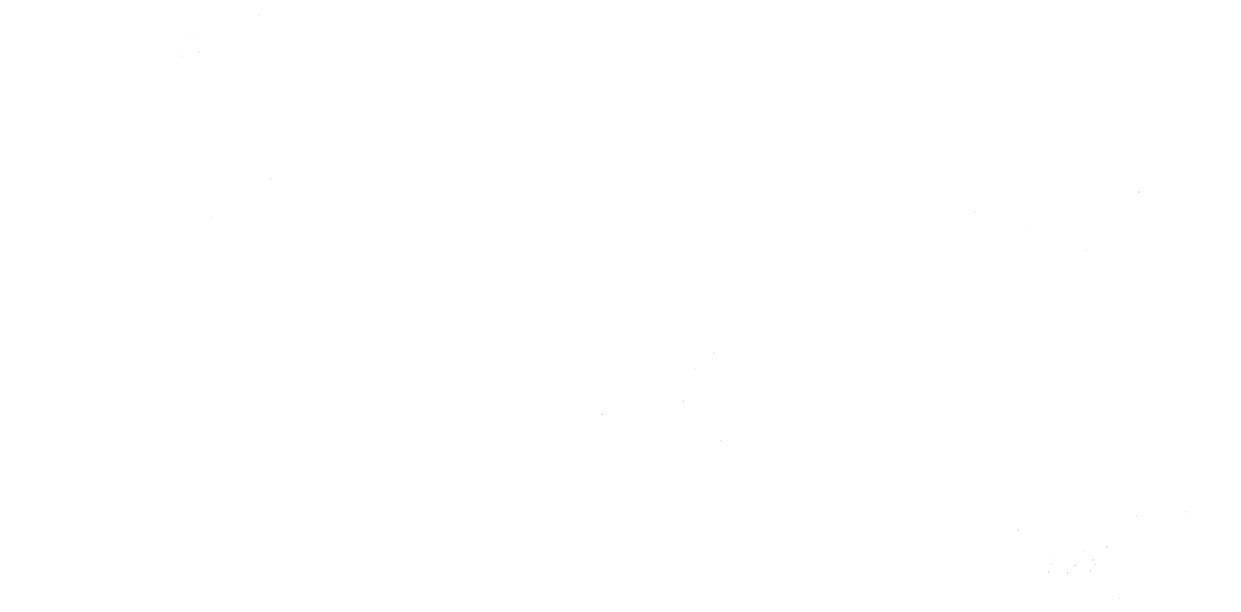 重阳节材质中国风手绘材质完整插画白鸟